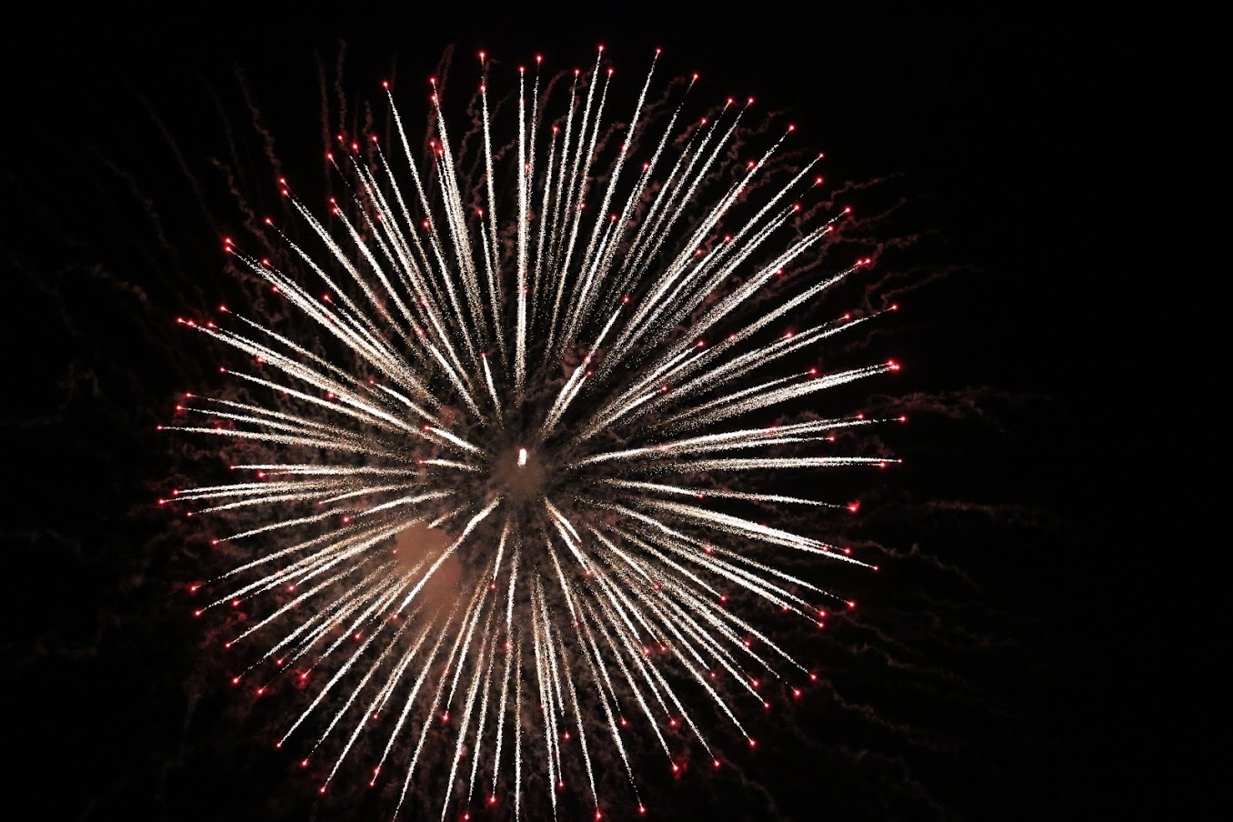 Edogawa Fireworks August 2019